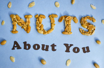 Nuts About You Food Typography with Border