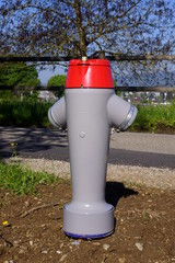Fototapeta na wymiar Hydrant,Schweiz