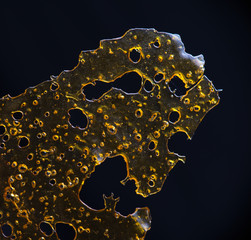 Close up detail of marijuana oil concentrate aka shatter isolated on black background