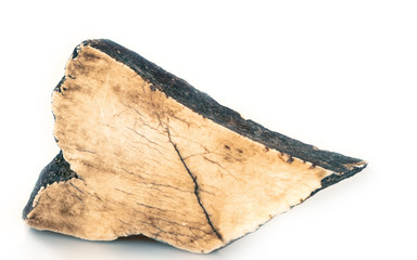 polished fossil mammoth tusk