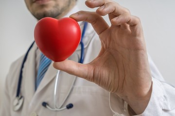 Doctor is holding red heart in hand.