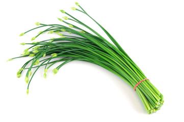 fresh chive flower in a bunch isolated on white background - obrazy, fototapety, plakaty