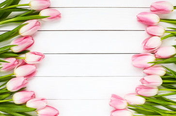 Pink tulips border on white wooden background. Top view, copy space