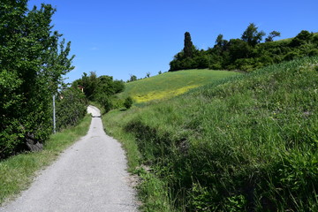 Passeggiando nella natura
