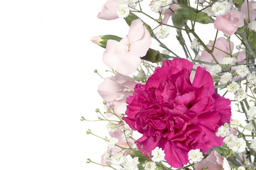 bold pink carnation in floral bouquet isolated on white