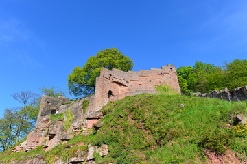 Fototapeta na wymiar Burg Wertheim im Main-Tauber-Kreis