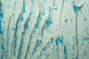 old black blue and white paint wooden background with knots texture severed tree