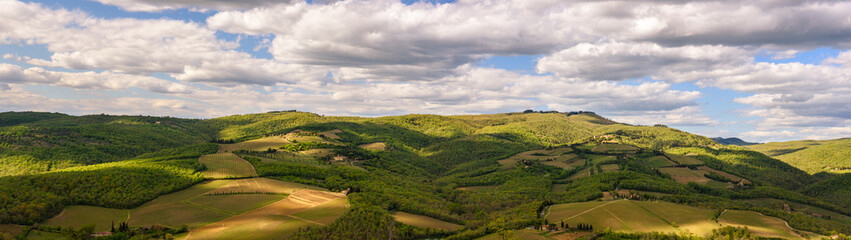 Fototapeta na wymiar View of the countryside near the famous town of Radda in Chianti, Tuscany, Italy