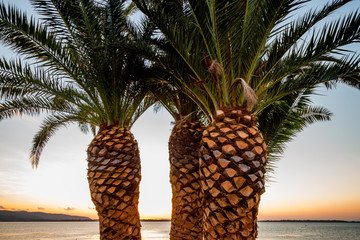 Couché de soleil sur la lagune d'Orbetello en toscane