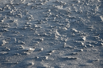 斜陽に映し出された砂浜