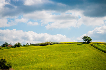 Paysage du Val d'Orcia en Toscane