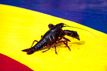 crawfis