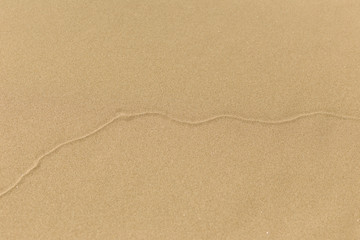 Line Through Brown Sand