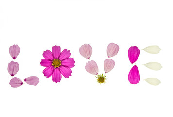 cosmos flower petals arranged to love letters on white background