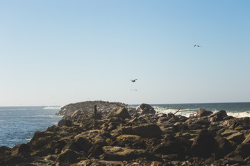 Rocky Jetty into Ocean
