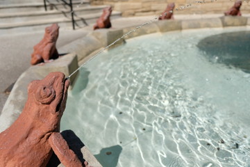 Water coming out of frog's mouth fountain. Ring of frogs on the edge of a fountain, water spewing from frog's mouths.  Sunny day, peaceful fountain. Terra cotta toads around outdoor fountain.