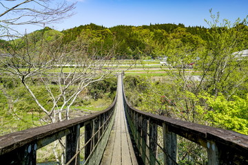 Fototapeta na wymiar 原尻の滝 吊り橋