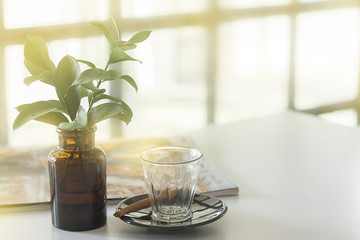 Glass and plant on white table with copy space, vintage light, Selective focus.