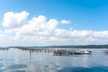 Obraz premium 松島の風景