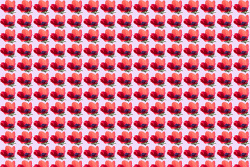 red poppy pattern