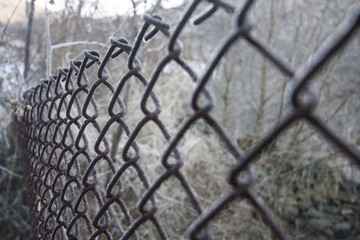 fence