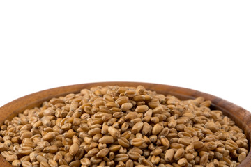 Wheat grain in bowl