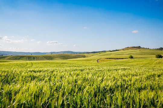 Paysage du Val d'Orcia en Toscane au soleil couchant