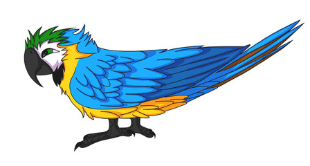 Parrot on white background, 2d illustration