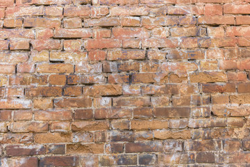 texture of a brick wall close-up