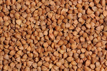 Buckwheat Background Macro