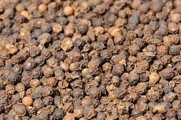 Black Pepper Macro