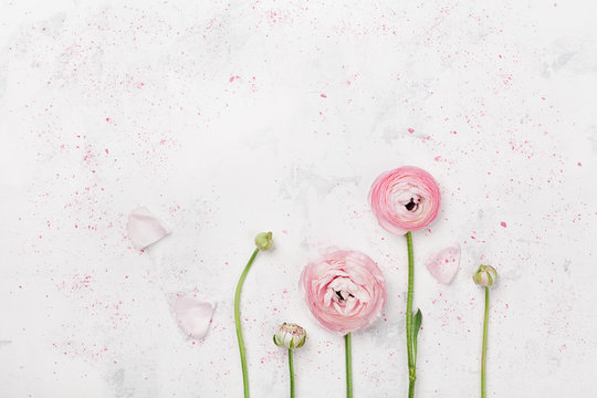 Fototapeta Beautiful pink ranunculus flowers on white table top view. Floral border in pastel color. Wedding mockup in flat lay style.