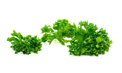 Parsley on a white background.green leaves of parsley isolated on white background