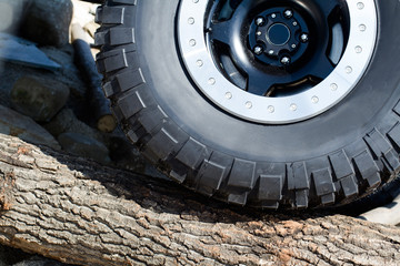 large offroad tire on tree trunk © macondos