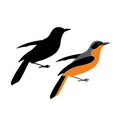 Obraz premium tanager vector illustration style Flat silhouette