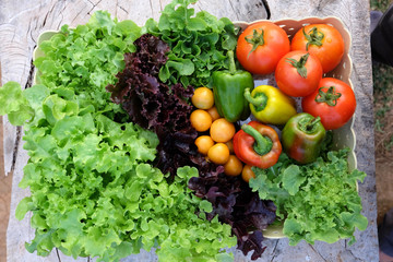 Organic vegetables in basket