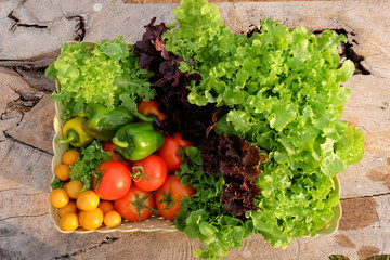Organic vegetables in basket