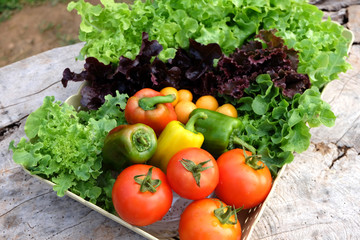 Organic vegetables in basket