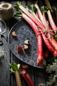 Rhubarbe