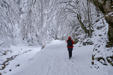 Woman hiker on a snowy trail