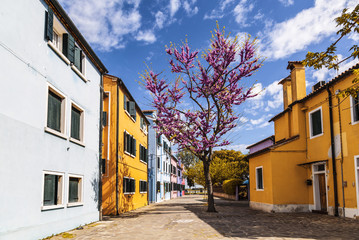 Bright colorful houses on Burano island on the edge of the Venetian lagoon. Venice, Italy