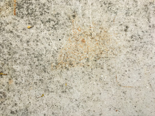 Cement floor in garden