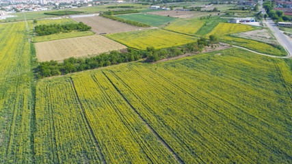 
Yellow Farming Fields Near A Small Town Shot From Above
