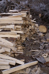 Brennholz © Lichtbildnerin