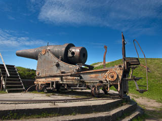 The old cannon