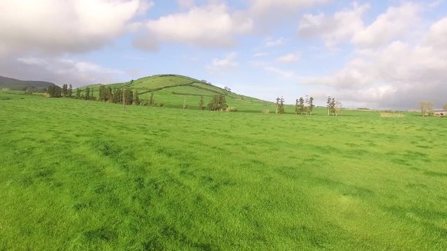 Flying over beautiful green agricultural fields in the Sao Miguel at sunny day, Azores, Portugal.