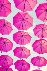 pink umbrellas 