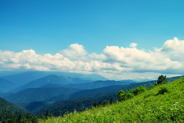 Fototapeta na wymiar Scenic view of mountain meadow