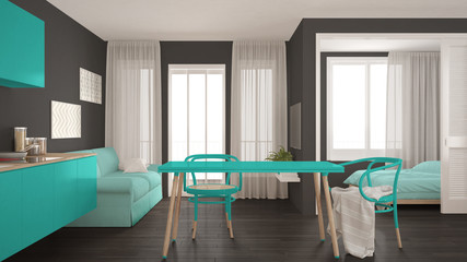 Modern minimal kitchen and living room with bedroom in the background, small apartment, gray and turquoise interior design