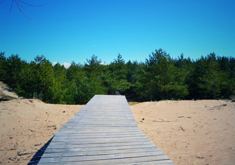 beach path  wood road nature landscape boardwalk sky walkway blue tree